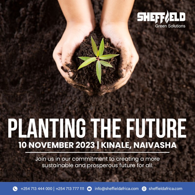 Tree Planting 2023 Kimende